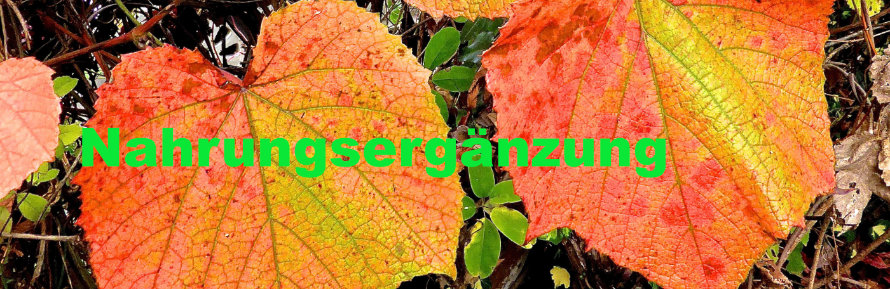 Nahrungsergänzungsmittel von Vivawenzel